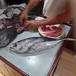 Tonijn