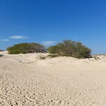 Boa vista