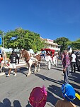 Sinterklaasintocht Willemstad