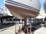Salacia in de Coppercoat