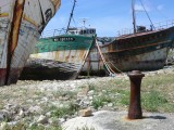 Oud hout in Camaret