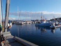 Haven van Hoeruphav
