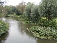Gracht met waterlelies in Glueckstadt