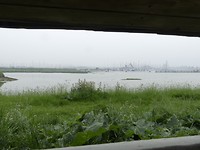 Vogelhut in natuurgebied IJzermonding