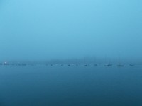 Mistbank in Lymington