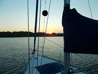 Geankerd in de Betonhaven