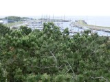 De jachthaven van Vlieland