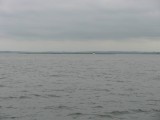 Triest weer op de Limfjord