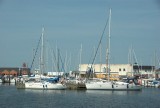 De haven van Hals