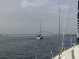 Fehmarn brug