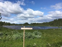 Natuur