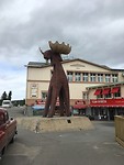 Eland