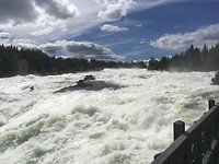 Storforsen