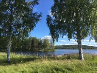 Uitzicht blauw en groen