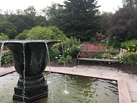 Botanische tuin