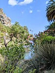57329