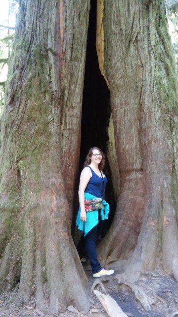 Me in a tree in Cathedral Grove