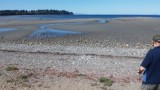 Parksville Beach