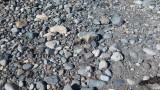 Stone beach at Parksville Beach