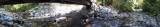 20150920_115137_Pano