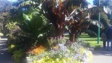 20150927_130326