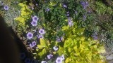 20150927_130332