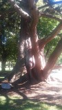 20150927_130443