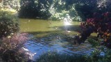 20150927_130707