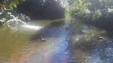 20150927_130721