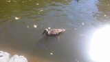 20150927_130729