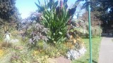 20150927_130806