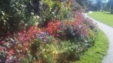 20150927_130830