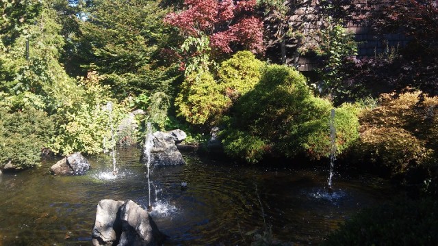 20150927_130922