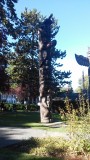 20150927_132214