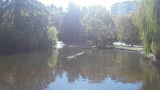 20150927_143105