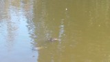 20150927_143141