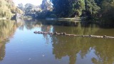 20150927_143228