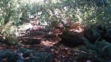 20150927_143459