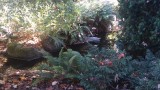 20150927_143502