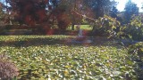 20150927_143657