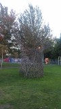 20150921_184753