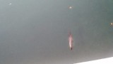20150921_190615