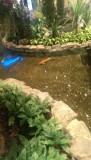 Bali 2013 049