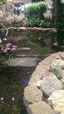 Bali 2013 052