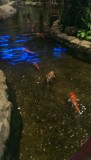 Bali 2013 054