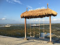 Schommels aan t strand
