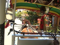 Paardenkoetsje