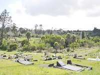 P1000574