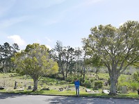 P1000576