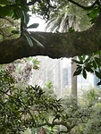 P1000612
